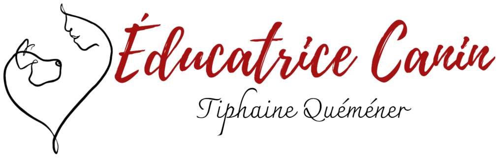 Tiphaine Educanin - logo